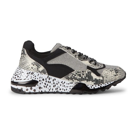 Steve Madden Shoes - Steve Madden Graphic Snakeprint Sneakers 7